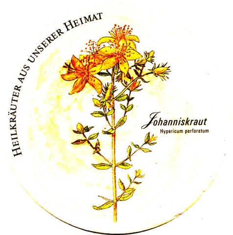 heimenkirch li-by meck heil 1b (rund215-3 johanniskraut)